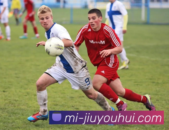 App Interface Preview