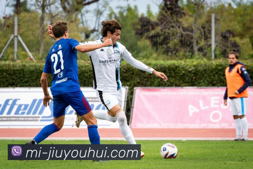 九游会J9官网APP 封面图